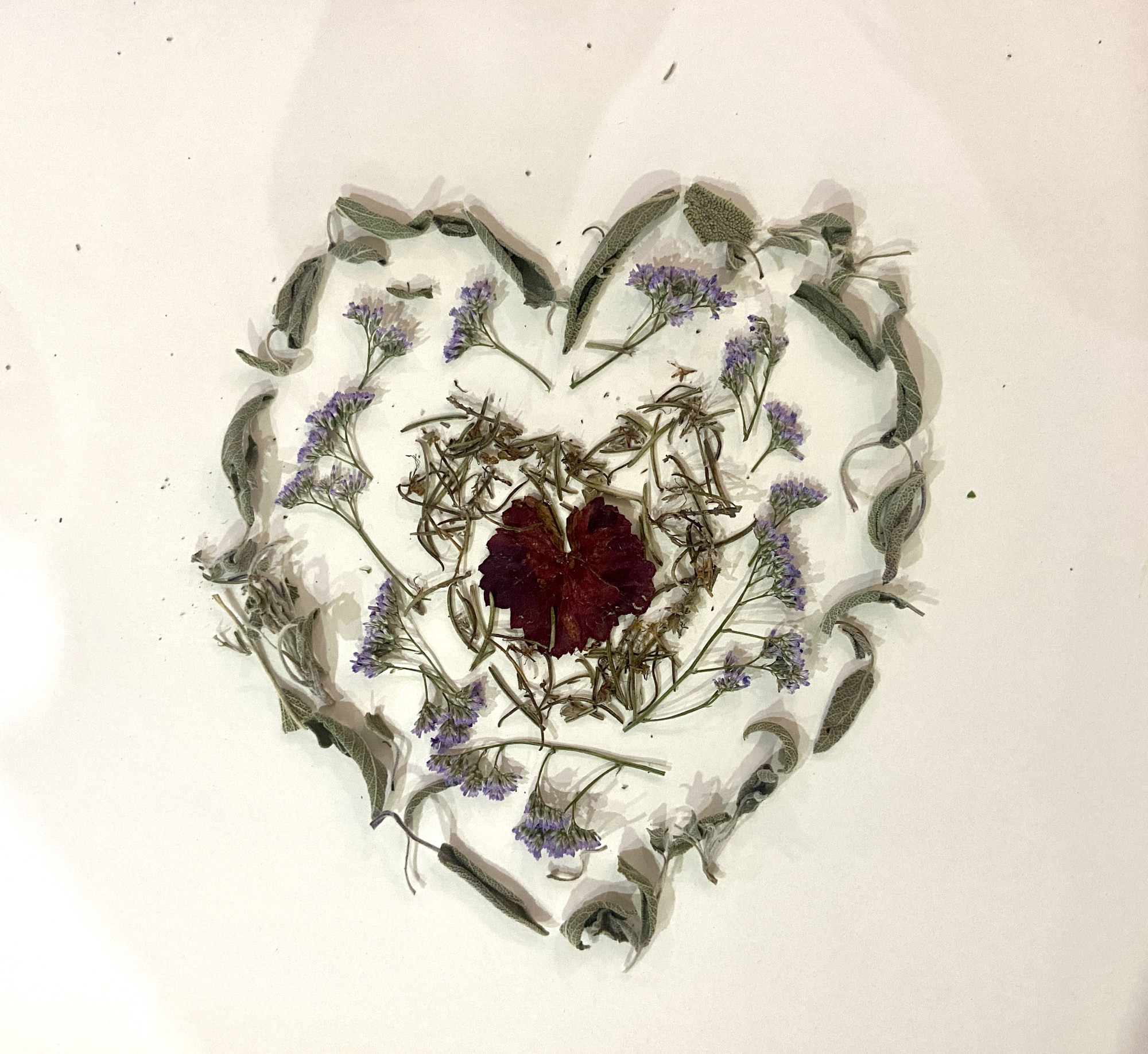 Belinda Raitt Leaf Art Gratitude Heart
